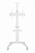 GEMBIRD Podni stalak za TV TVS-70T-02-W, 37"-70", s kotačima, bijela